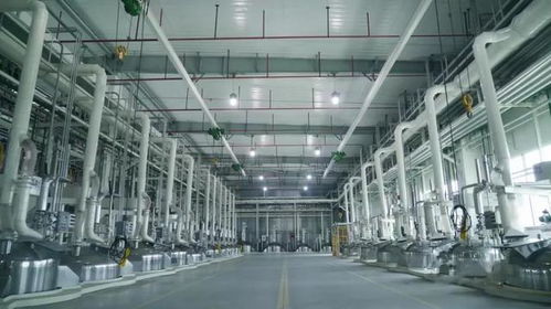 中控技術賦能三棵樹四川生態(tài)工業(yè)園 匯聚MES力量的智能工廠實踐