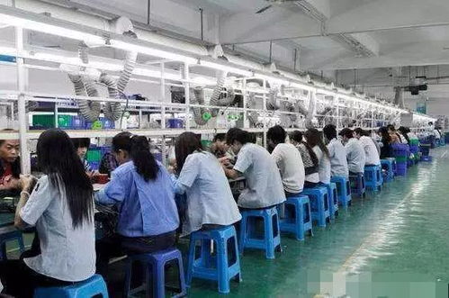 無學歷無技術背景下的職業(yè)新選擇 技術推廣崗位的可行性分析